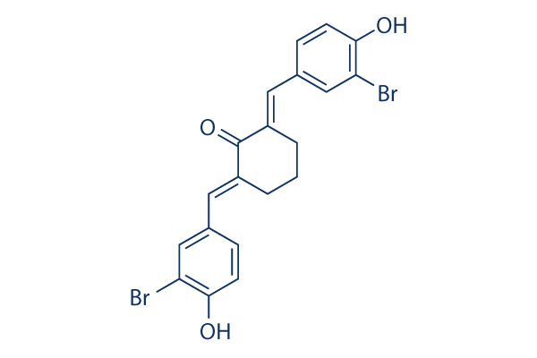 Histone Acetyltransferase Inhibitor II化学構造