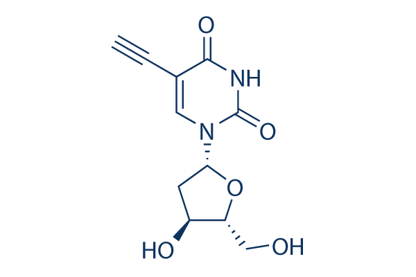 EdU (5-Ethynyl-2'-deoxyuridine)化学構造