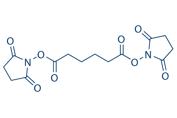 Di(N-succinimidyl) adipate化学構造