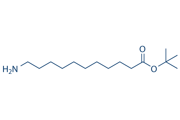 tert-Butyl 11-aminoundecanoate化学構造