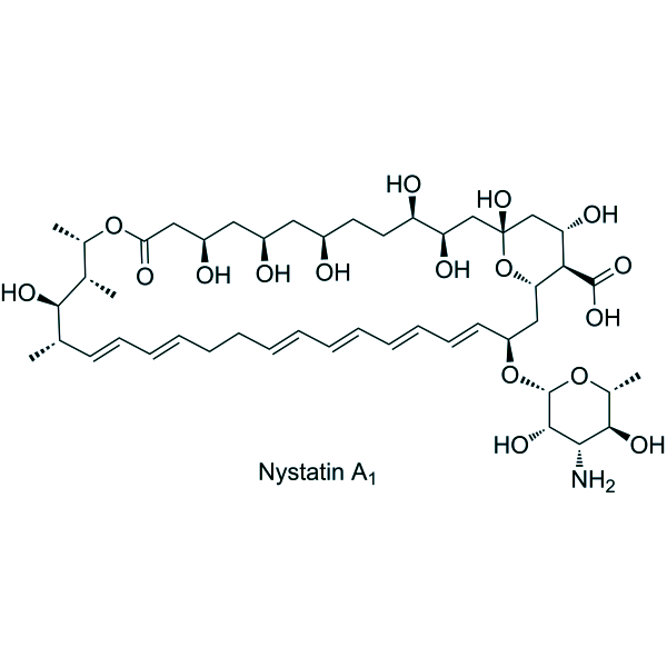 Nystatin化学構造