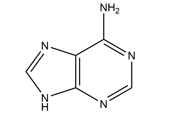 Adenine化学構造