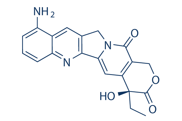 9-amino-CPT (9-Aminocamptothecin)化学構造