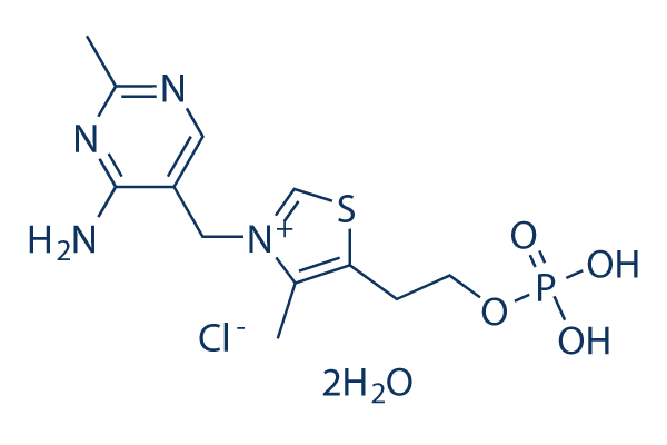 Thiamine monophosphate chloride dihydrate化学構造