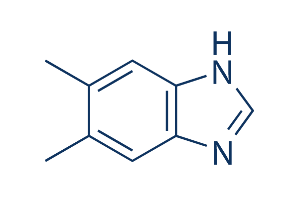 5,6-Dimethylbenzimidazole化学構造