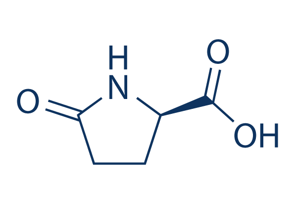 D-Pyroglutamic acid化学構造