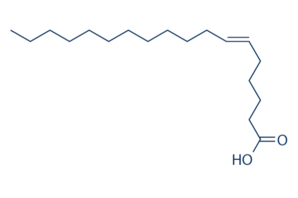 Petroselinic acid化学構造