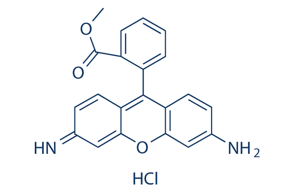 Rhodamine 123化学構造
