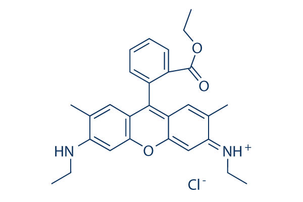 Rhodamine 6G化学構造