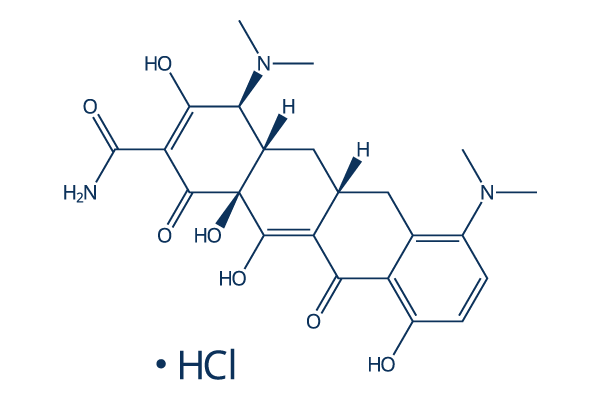 Minocycline HCl化学構造