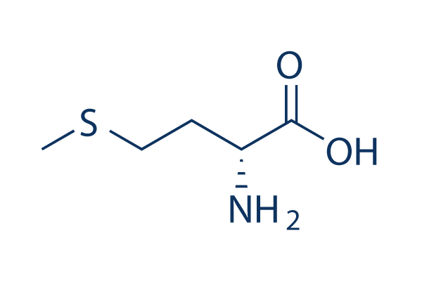Methionine化学構造