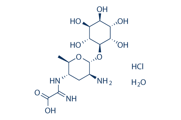 Kasugamycin hydrochloride hydrate化学構造
