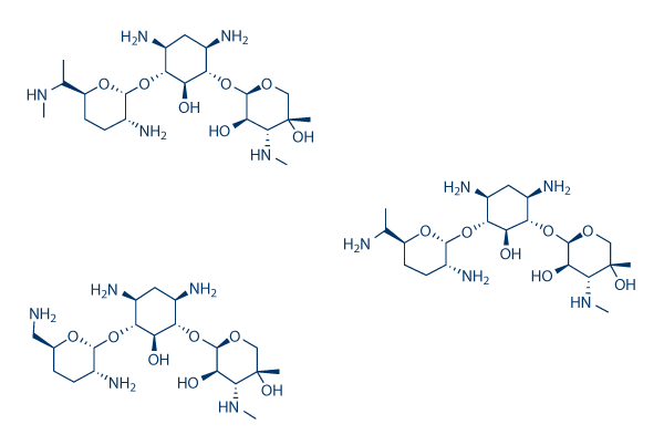 Gentamicin化学構造