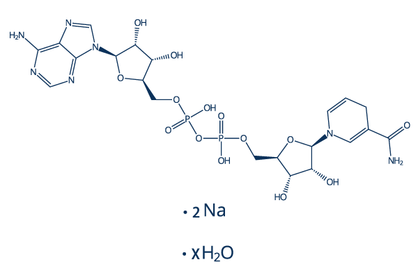 NADH Disodium Salt Hydrate化学構造