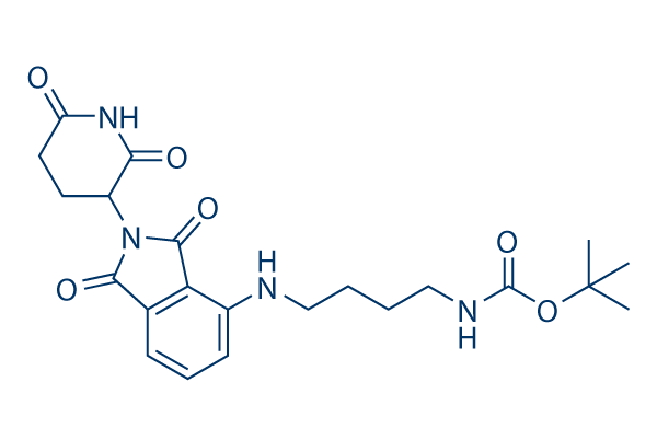 Thalidomide-NH-C4-NH-Boc化学構造