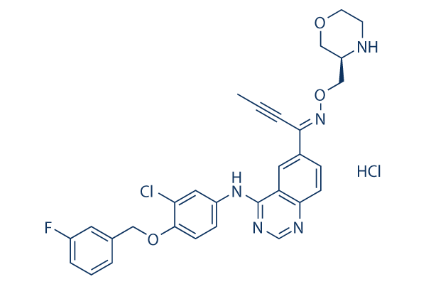 Epertinib hydrochloride化学構造