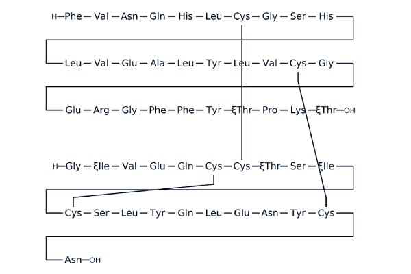 Insulin (human)化学構造