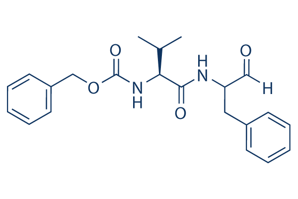 MDL-28170化学構造