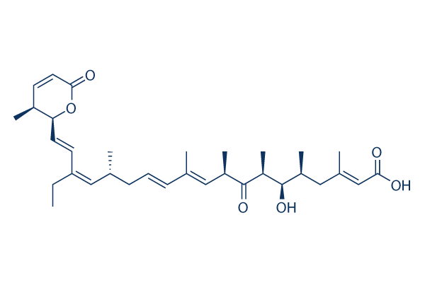 Leptomycin B化学構造