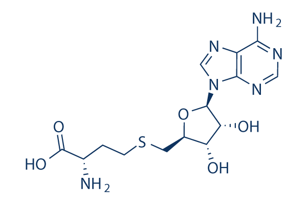 SAH (S-Adenosyl-L-homocysteine)化学構造