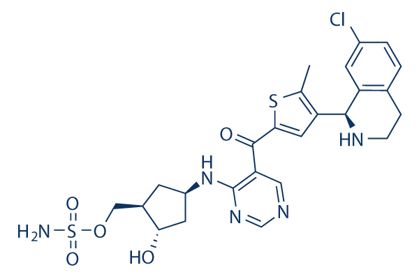 Subasumstat (TAK-981)化学構造