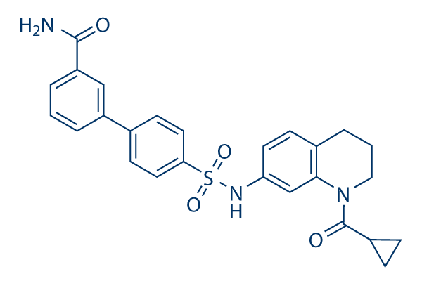 SU0268化学構造