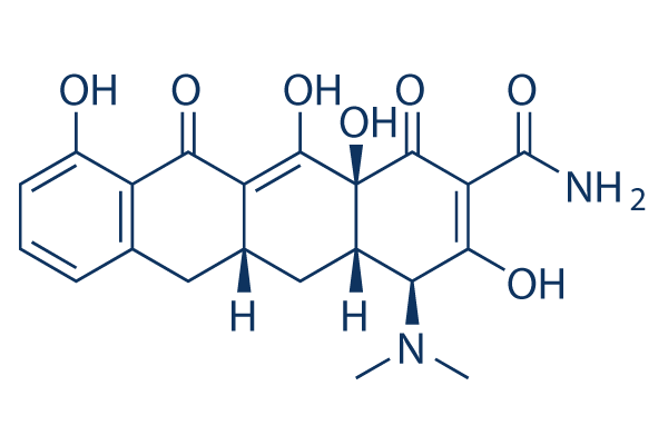 Sancycline化学構造