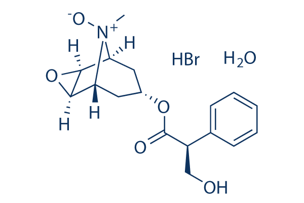 Scopolamine N-Oxide HydrobroMide Monohydrate化学構造