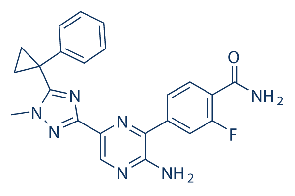 Selective PI3Kδ Inhibitor 1 (compound 7n)化学構造