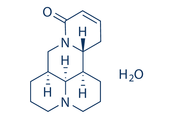 Sophocarpine Monohydrate化学構造