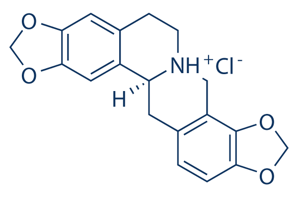Stylopine hydrochloride化学構造