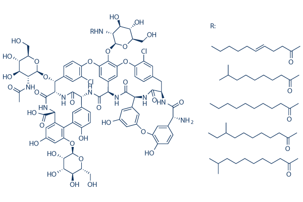 Teicoplanin化学構造