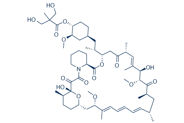 Temsirolimus (CCI-779)化学構造
