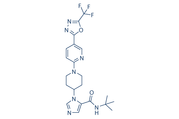 WNK463化学構造
