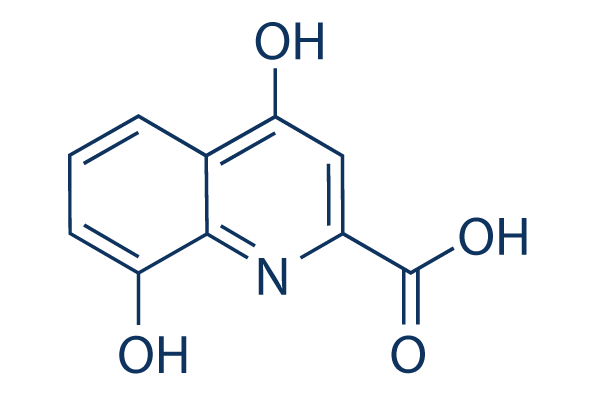 Xanthurenic Acid化学構造