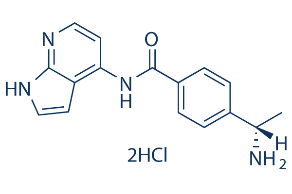 Y-39983 Dihydrochloride化学構造