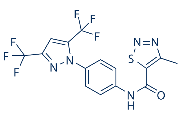 YM-58483 (BTP2)化学構造